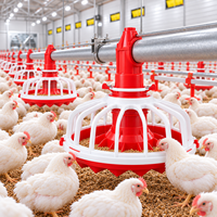 Système d'alimentation automatique pour volailles : Mangeoire à poulets, ligne d'alimentation pour poulets de chair, plateau d'alimentation pour élevage au sol en ferme avicole