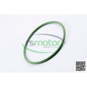 OEM O-seal MWM Kit de sello de para bomba y máquina Varios materiales EPDM NBR Silicona PU Caucho Plástico FKM TC Sello de aceite - Product Image 6