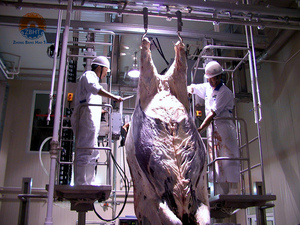 Chaîne de traitement d'usine d'abattoir de vache composants de noyau moteur de roulement de pompe à moteur transportent la machine de rail pour l'abattage de bétail - Product Image 5