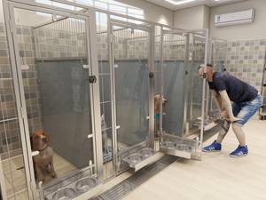 Refugio de animales Banning Ca Hundezwinger Drinnen <span class=keywords><strong>Canil</strong></span> De Cachorro Ao Ar Livre - Product Image 6