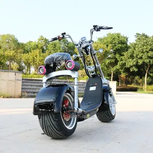 Belanda Gudang Double Battery Electric Scooter 2019 EEC Citycoco 1000 W 1500 W 2000 W Ban Ban Ban Sepeda Motor