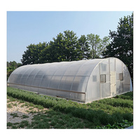 Serre agricole à structure métallique à travée unique pour légumes, serre de 20 pieds