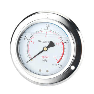 Manomètre hydraulique axial résistant aux vibrations YN100ZT 0-1.6-25-60MPa pour gaz et liquide, bord 0-1.6-25-60MPa - Product Image 2