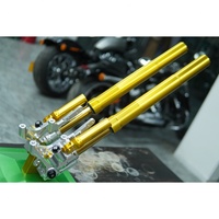 INCA - Horquilla Delantera de Acero Personalizada para Motocicleta, 41 mm, para Reequipamiento/Actualización, Universal, Garantía de Un Año, CN/GUA