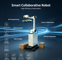Robot Apilador de Palés de Alta Eficiencia de 4 kW con Capacidad de 1000 Unidades/Hora para Funcionamiento Continuo en la Industria de Envasado de Alimentos para Aves