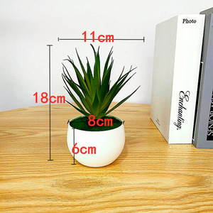 Planta Suculenta Artificial Qi Xing de 18 cm, PVC Suave, Decoración para el Hogar - Product Image 2