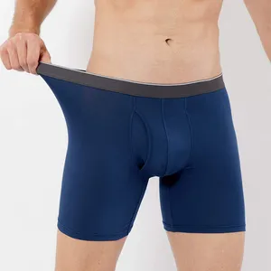 OEM/ODM katı erkek külot & boksörler bambu viskon erkek iç çamaşırı seksi özel Logo en kaliteli erkek iç çamaşırı