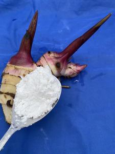 Best Quality Arrowroot Starch <b>Selling</b> Factory 2020 with Competitive Price in Vietnam - Product Image 4