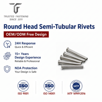 Rivets semi-tubulaires à tête ronde personnalisés TianFang pour la production de contacts électriques, en laiton nickelé, approvisionnement stable par lots
