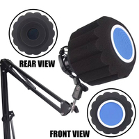 Filtre anti-pop pour microphone PE2, en mousse acoustique en forme d'arc, réduction du bruit, protection contre les éclaboussures, pour enregistrement en studio