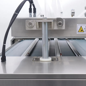 Tự động liên tục <span class=keywords><strong>Rolling</strong></span> <span class=keywords><strong>Machine</strong></span> cho đôi-niêm phong bao bì của cá, thịt gà và thịt bò hiệu quả cao - Product Image 6