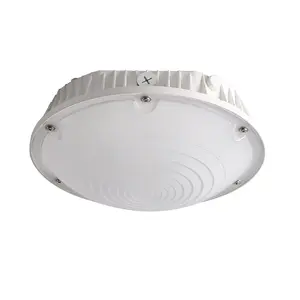 stock fast shipping led canopy light outdoor round ceiling light garage gas station light waterproof
