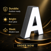 Lettres lumineuses LED de 3, 4 et 5 pieds pour anniversaires, mariages, bars et hôpitaux – Installation de lettres autoportantes extérieures