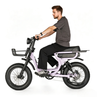 Vélo électrique tout-terrain personnalisable OEM ODM V20 avec suspension intégrale, pneus larges de 20 pouces, cadre en alliage d'aluminium Bafang, étanche, 48V 250W SUNREMO
