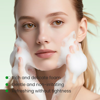 Nettoyant visage à l'aloe vera, nettoyant et hydratant, 100 ml, protecteur, doux pour la peau, rafraîchissant, non desséchant, mousse riche