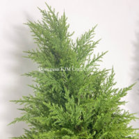 Cyprès artificiel résistant aux UV Pin Arbres topiaires artificiels Plante artificielle d'extérieur pour la décoration