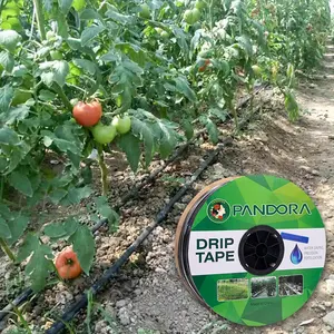 Système d'arrosage et d'irrigation automatique pour jardin et ferme, tuyau à Tube goutte à goutte