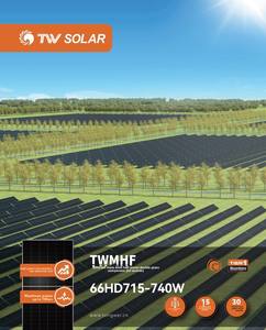 Pannelli Solari <span class=keywords><strong>TW</strong></span> SOLAR Grado A+ 700-740W Completamente Neri per Impianti Solari a Doppio Vetro, Efficienza 23%, 1MW-5MW - Product Image 5
