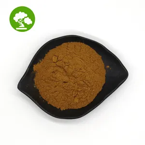 High Quality Best Price Red Ginseng Powder