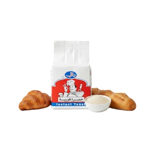 Polvo de <span class=keywords><strong>levadura</strong></span> instantánea seca activa de fermentación rápida de alta tolerancia 500g 450g 5G 10kg 25kg Halal al por mayor <span class=keywords><strong>para</strong></span> hornear <span class=keywords><strong>pan</strong></span> - Product Image 1