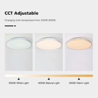 Plafonnier LED intelligent pour la maison, lampe de plafond pour chambre à coucher, lumière RGB en fer avec variateur d'intensité, décoration contemporaine pour la maison, PVC blanc 80