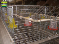 Cage de couvaison de volaille galvanisée à froid de type H à 4 niveaux pour 320 poussins en vente équipement d'élevage