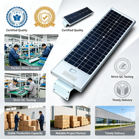 Lampadaire Solaire LED Tout-en-un de Haute Qualité à Bas Prix pour Autoroute et Jardin, IP65, Haute Luminosité, Prix Usine pour Extérieur