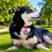 Vente en gros d'étiquettes d'identification intelligentes NFC personnalisées pour animaux de compagnie, étiquette de nom de chien avec code QR, motif animal en cristal, durable, étiquette de collier personnalisée pour animaux de compagnie