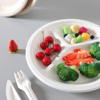 Échantillon Gratuit Assiettes en Canne à Sucre Biodégradables de Haute Qualité pour Restaurants – Vaisselle en Bagasse