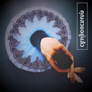 Tutú de Ballet Profesional para Niñas, Tutú de Ballet Azul y Rosa, Vestido de Fiesta de Bailarina, Disfraz de Danza de Ballet para Mujeres Adultas, Niños y Niñas - Product Image 4