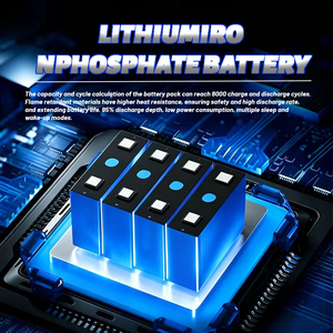 Batterie de stockage d'énergie 16 kWh 51,2 V à haute efficacité, <span class=keywords><strong>rechargeable</strong></span>, conçue pour les systèmes d'énergie solaire - Product Image 2