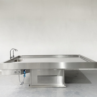 Table d'Autopsie en Acier Inoxydable pour Usage en Laboratoire, Banc de Dissection avec Armoire de Base