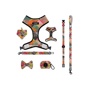 Ensemble de harnais pour chien, collier et laisse personnalisés - Product Image 5