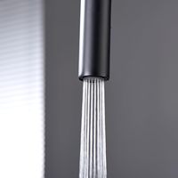 Robinet de cuisine moderne en acier inoxydable noir à poignée unique extractible, installation monotrou, pour usage hôtelier