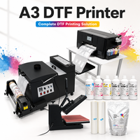 Impresora Digital DTF A3 de Rollo a Rollo XM 301 con Agitador de Polvo para Impresión de Ropa Personalizada para Pequeñas Empresas