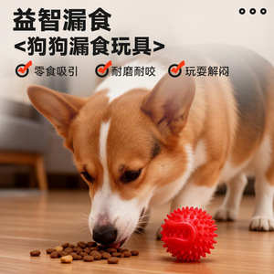 Jouet distributeur de friandises pour chien en TPU durable, interactif, pour l'alimentation et le jeu des animaux de compagnie - Product Image 1