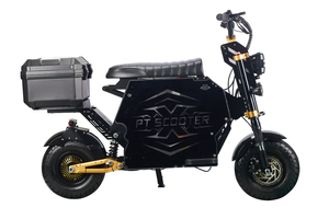 Nouveau bestseller 2026 pour trottinette électrique GT-M6 en aluminium 72V 10000W, étanche, pliable, batterie au lithium, double moteur US GT-M6 - Product Image 6