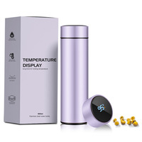 Thermos isotherme en acier inoxydable à double paroi de 500 ml avec logo personnalisé, infuseur à thé et affichage LED de la température