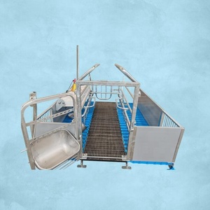 Nuevas Jaulas de Parto para Cerdas HENGYIN 2025, Duraderas y Cómodas, Sistemas de Alimentación y Bebederos para Lechones, Acero Galvanizado en Caliente, CE - Product Image 3