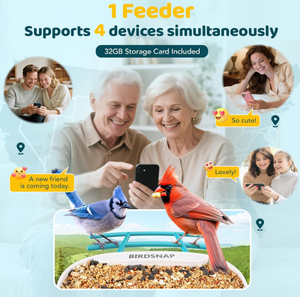 Mangeoire à oiseaux intelligente avec caméra, design unique, vente directe d'usine, 2MP, vision nocturne, application, cardéleon, pinson, jaspe, perroquet, <span class=keywords><strong>pigeon</strong></span> - Product Image 5