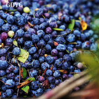 Hoge Anthocyanine/Bulkverpakking/Private Label/OEM Beschikbaar/Antioxidantrijk/Smoothies/OEM Maatwerk/Exportkwaliteit Diepvries Blauwe Bessen