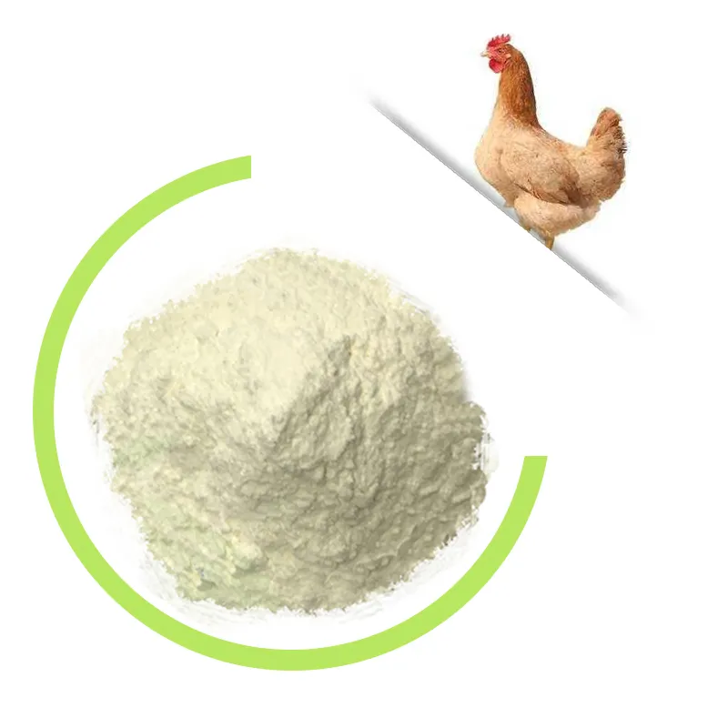 Polvo de colágeno de cartílago de pollo, Producto Popular 100% puro Tipo 2 para suplemento Oem