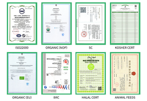 ผงโปรตีน60% เมล็ดฟักทองออร์แกนิก - Product Image 2