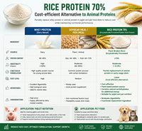 Protéine de riz hypoallergénique 70% à base de plantes, ingrédient de qualité alimentaire pour chiens, porcs, chevaux et poissons