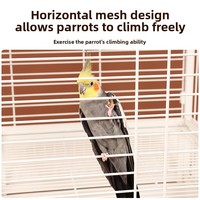 Cage à perroquets de luxe XL - Nouvelle cage d'élevage haut de gamme en fil d'acier à faible teneur en carbone, espace extra large pour un foyer bienheureux
