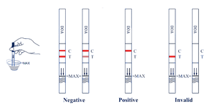 Bandelettes de test urinaire CE pour la détection de drogues FYL - Fentanyl 100/200 Test rapide DOA Dipstick - Product Image 2