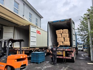 Coopération de plusieurs décennies entre Matson/Cosco/OA/EXX |   Tarifs d'expédition FBA stables |   Expert en FBA <span class=keywords><strong>Amazon</strong></span> Chine-États-Unis |   Livraison à temps assurée - Product Image 3