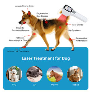 Dispositivo Médico Lllt para Terapia a <span class=keywords><strong>Laser</strong></span> MLS para Uso Humano em Fibromialgia e Outras Dores, Dispositivo de Cura 650nm com 808nm 980nm 2500mW - Product Image 3