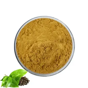 Organic Green Tea Extract Powder Green Tea Polyphenols Supplement