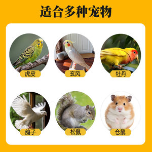 Semillas de Flor Roja 450g, Alimento Nutritivo para Aves, Origen Shandong - Product Image 3